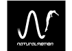 NaturalMotion Inc.